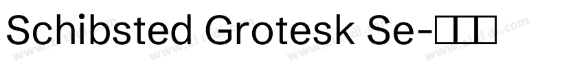 Schibsted Grotesk Se字体转换